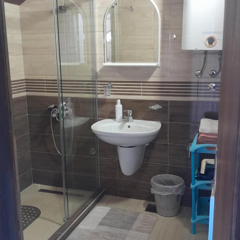 Apartmani Aleksijević Zlatibor - Standardni Trokrevetni Studio - 11