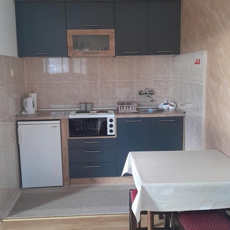 Apartmani Aleksijević Zlatibor - Standardni Trokrevetni Studio - 10