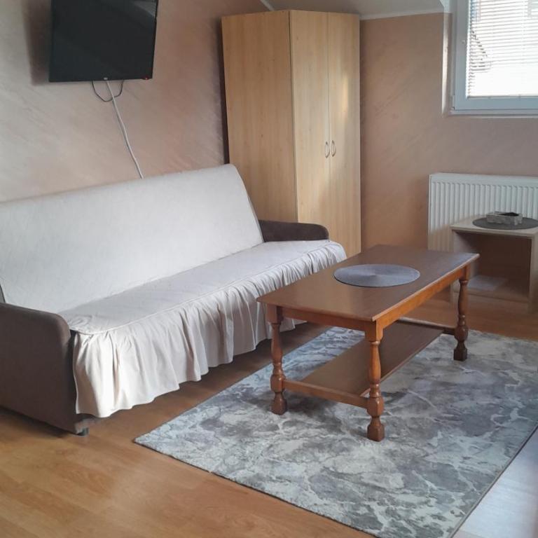Apartmani Aleksijević Zlatibor - Standardni Trokrevetni Studio - 8