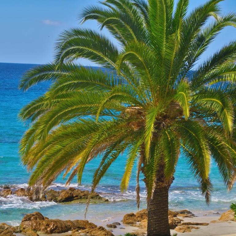 STUDIO LES CALANQUES - Studio - 17