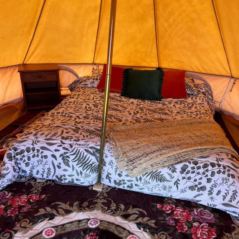 Retiro Bajoestrellas - Tienda - 1