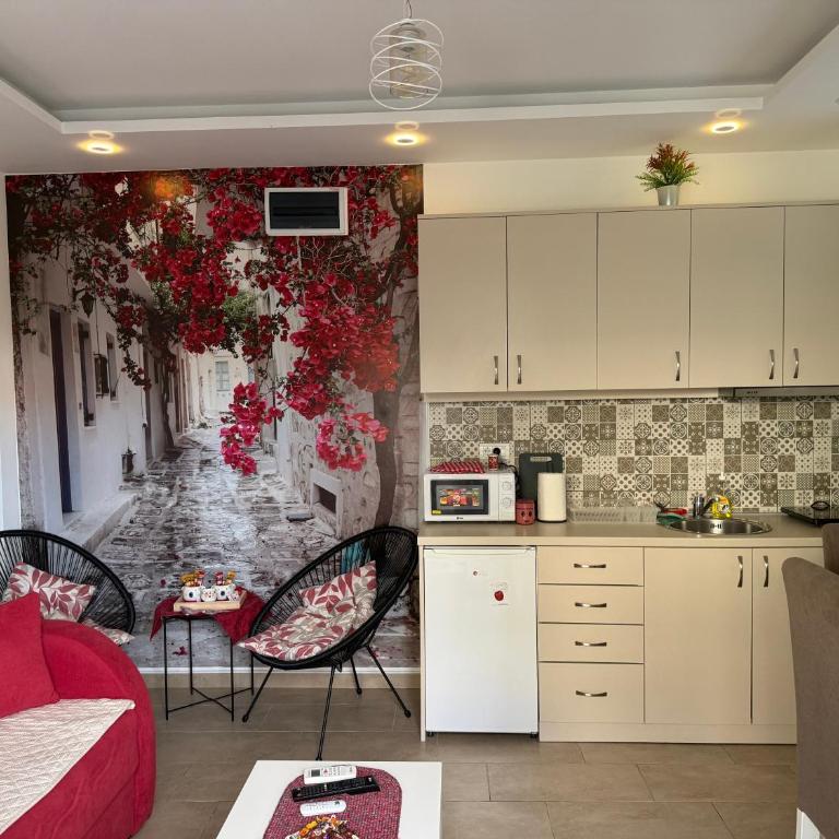 Apartman Petra Sokobanja - Apartman sa 1 Spavaćom Sobom - 5