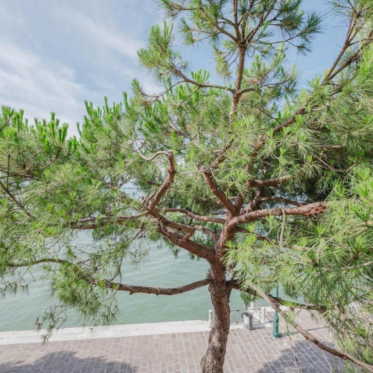 Lagoon View - 12 min to the Train Station - One-Bedroom Apartment - 17
