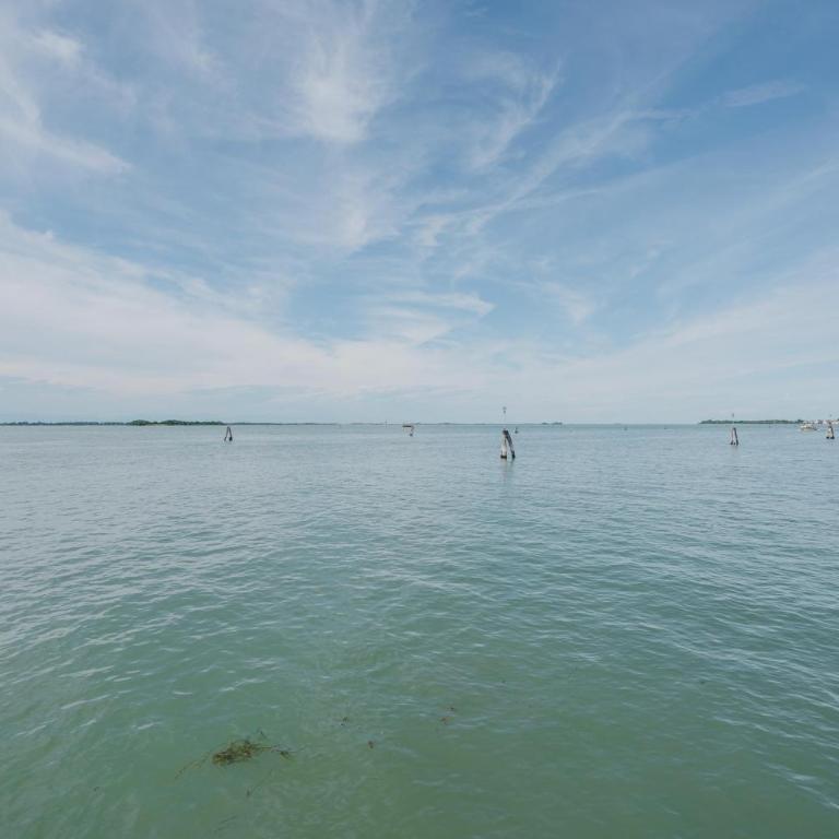 Lagoon View - 12 min to the Train Station - One-Bedroom Apartment - 15