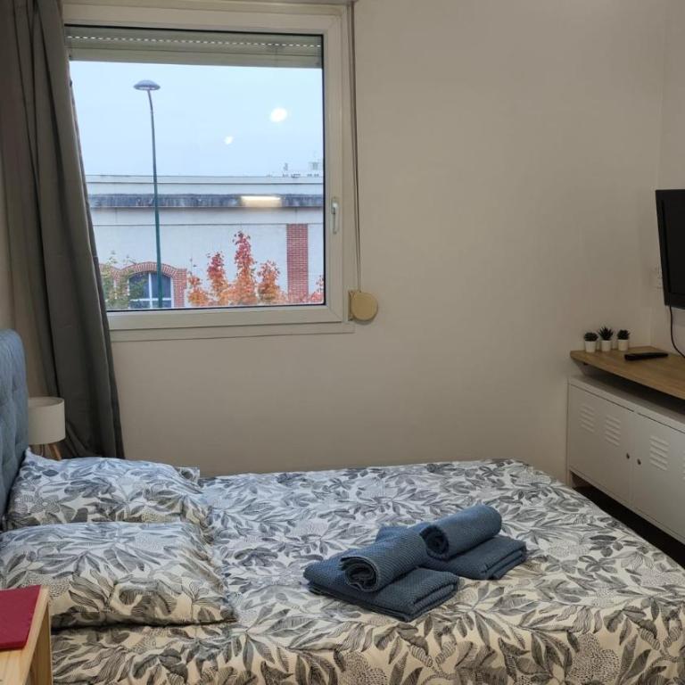 Charmant Studio proche du centre et des commodités - Apartment mit 1 Schlafzimmer - 5