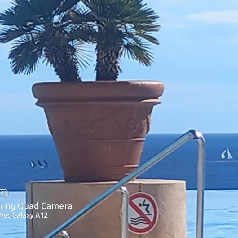 Cannes superbe appt 3 pces Wi-Fi Clim Piscine Vue sur les îles et les Paquebots - Appartement 2 Chambres - 5