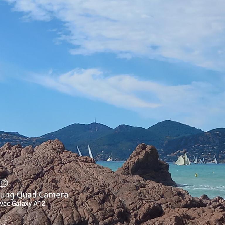 Cannes superbe appt 3 pces Wi-Fi Clim Piscine Vue sur les îles et les Paquebots - Appartement 2 Chambres - 35
