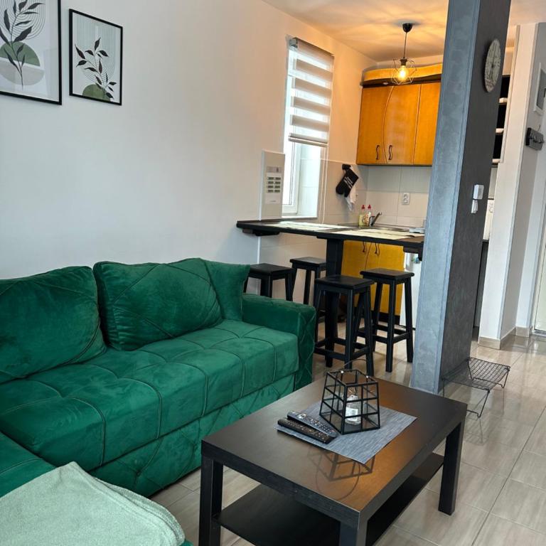 Apartman Blagojevic - Apartman sa 1 Spavaćom Sobom - 5