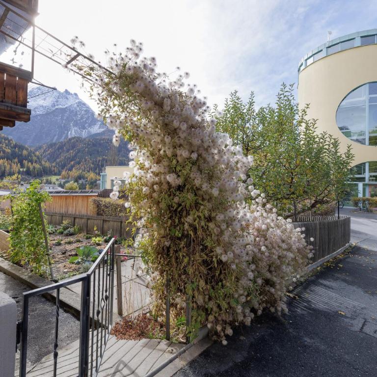 Chasa Marugg - Apartment mit Terrasse - 27