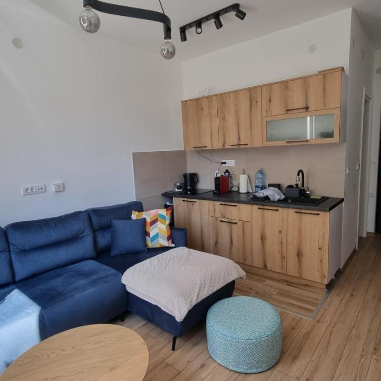 Apartment PINE Kopaonik -Iznad Oblaka 3- - Deluks Porodični Apartman Tipa "Suite" - 1