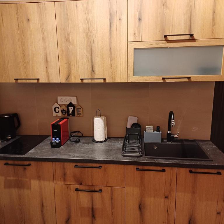 Apartment PINE Kopaonik -Iznad Oblaka 3- - Deluks Porodični Apartman Tipa "Suite" - 13