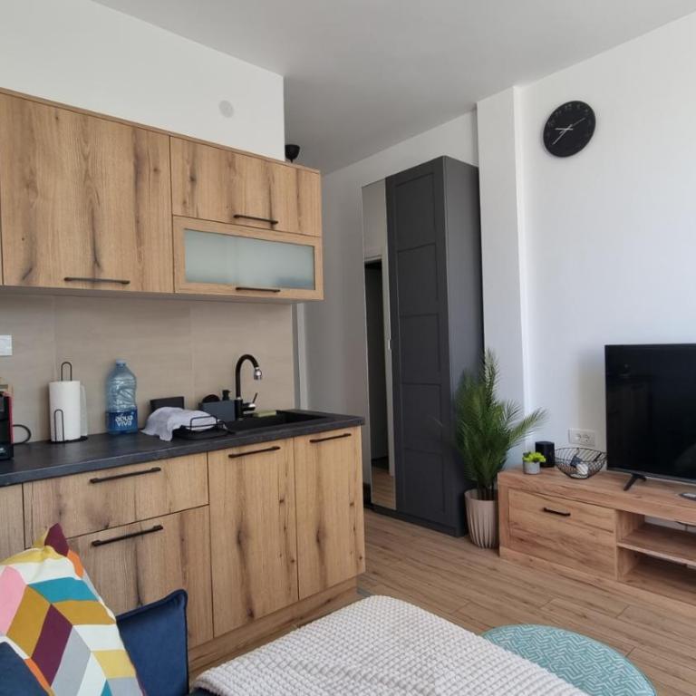 Apartment PINE Kopaonik -Iznad Oblaka 3- - Deluks Porodični Apartman Tipa "Suite" - 5