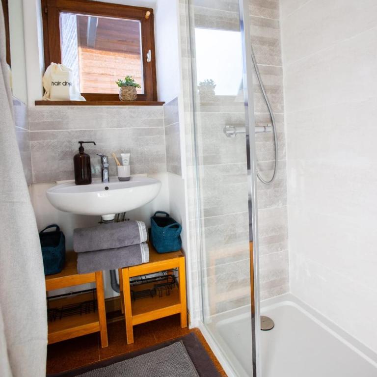 Slow Chalet Tilleuls vue montagne proche pistes & randos Manigod 5 pers - Appartement - 5
