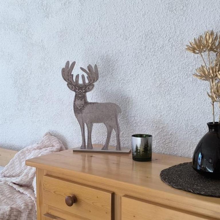 Slow Chalet Tilleuls vue montagne proche pistes & randos Manigod 5 pers - Appartement - 17