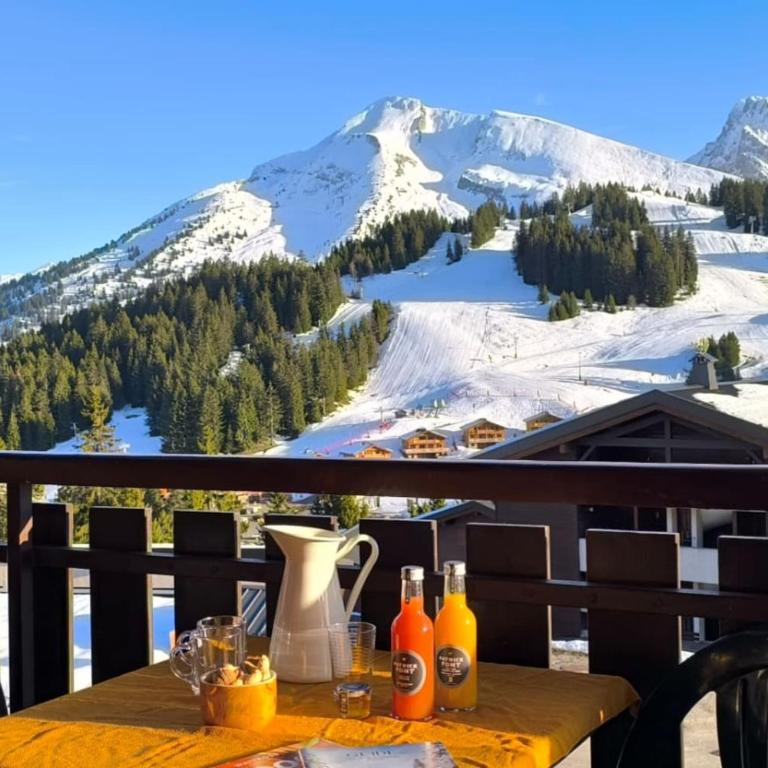 Slow Chalet Tilleuls vue montagne proche pistes & randos Manigod 5 pers - Appartement - 24