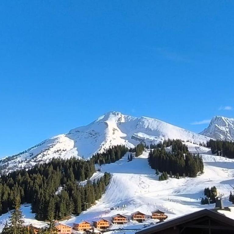 Slow Chalet Tilleuls vue montagne proche pistes & randos Manigod 5 pers - Appartement - 28