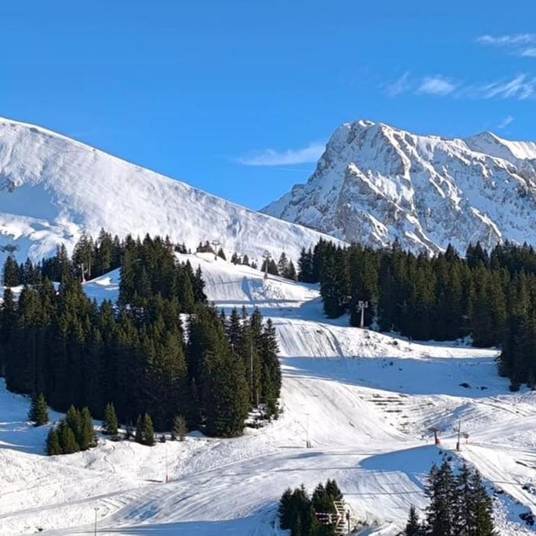 Slow Chalet Tilleuls vue montagne proche pistes & randos Manigod 5 pers - Appartement - 29