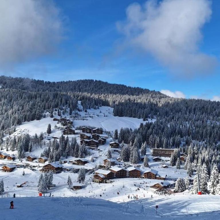 Slow Chalet Tilleuls vue montagne proche pistes & randos Manigod 5 pers - Appartement - 31
