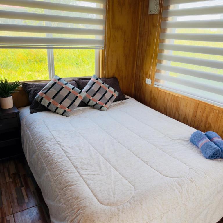Cabaña rural rodeada de naturaleza y descanso cerca del Lago Ranco - One-Bedroom Apartment - 4
