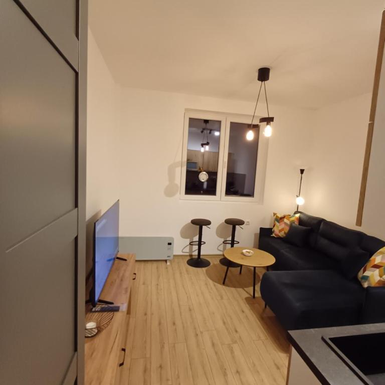Apartment PINE Kopaonik -Iznad Oblaka 3- - Deluks Porodični Apartman Tipa "Suite" - 11