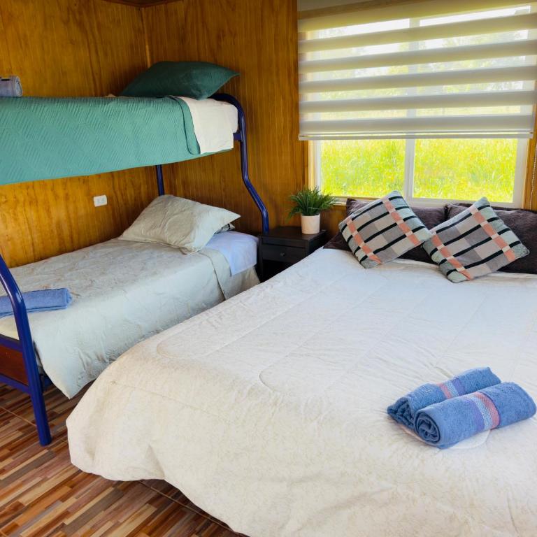 Cabaña rural rodeada de naturaleza y descanso cerca del Lago Ranco - One-Bedroom Apartment - 5