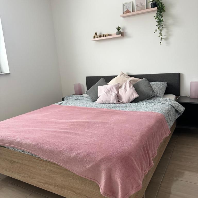 Apartman Blagojevic - Apartman sa 1 Spavaćom Sobom - 14