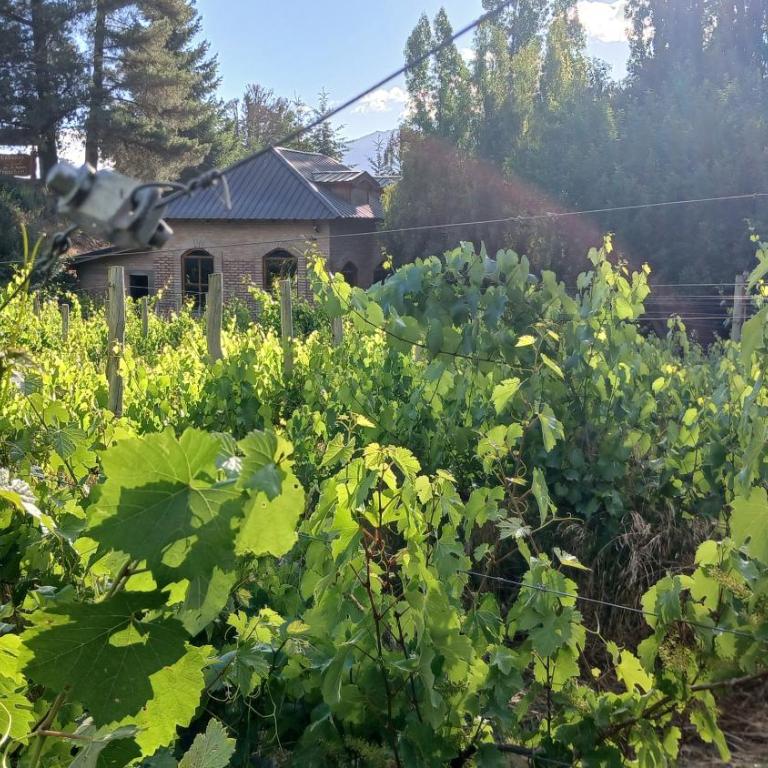 Finca Fraschetti - Two-Bedroom Chalet - 14