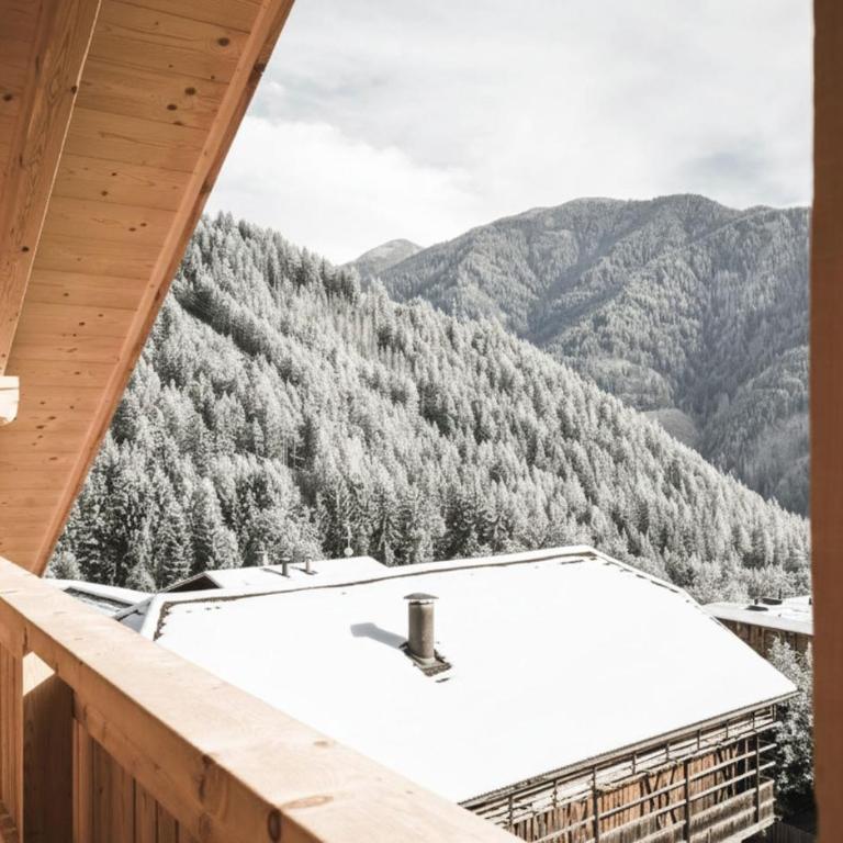Zalnerhof Urlaub am Bauernhof - Appartamento con 2 Camere da Letto - 14