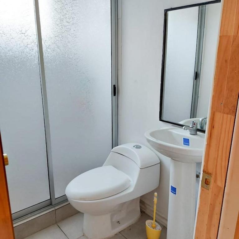 Casa Foresta in Zapallar - Six-Bedroom House - 9