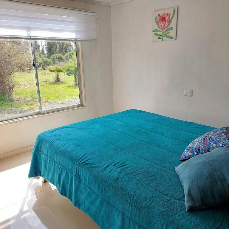 Casa Foresta in Zapallar - Six-Bedroom House - 10