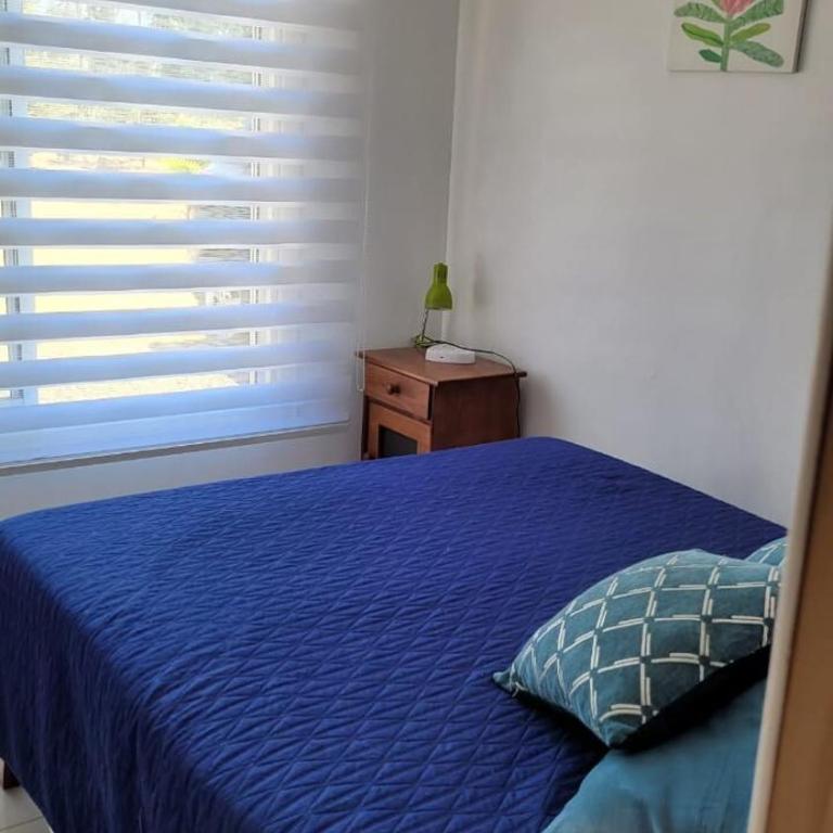 Casa Foresta in Zapallar - Six-Bedroom House - 16
