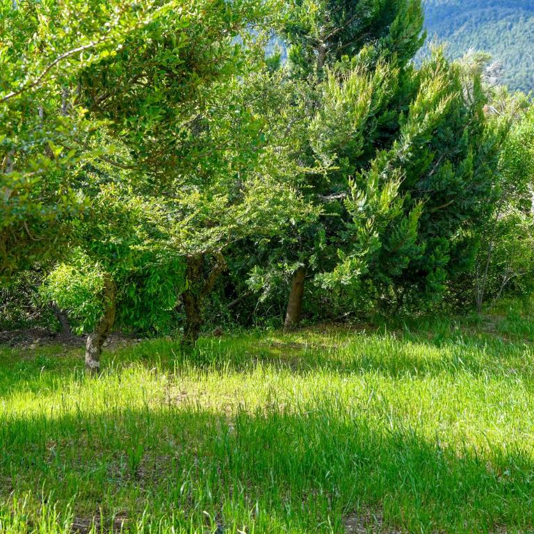 Casa entre cerros - Casa de 2 dormitorios - 34