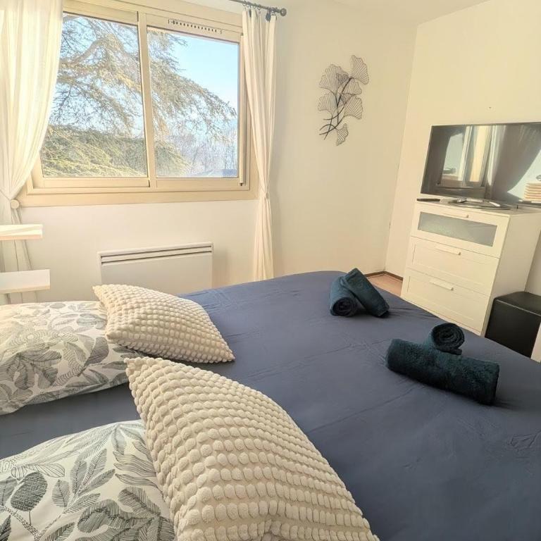 Charmant T2 150 m de la cure thermale Gorges Du Verdon - Two-Bedroom Apartment - 8