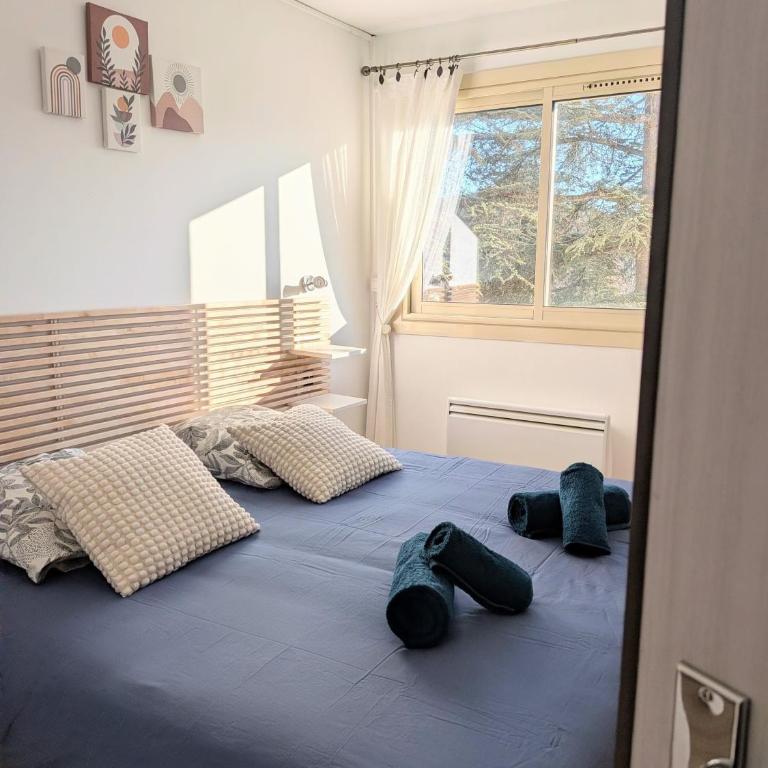 Charmant T2 150 m de la cure thermale Gorges Du Verdon - Two-Bedroom Apartment - 9