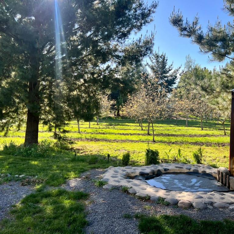 Cabaña de campo pequeña - Casa con 1 dormitorio - 2