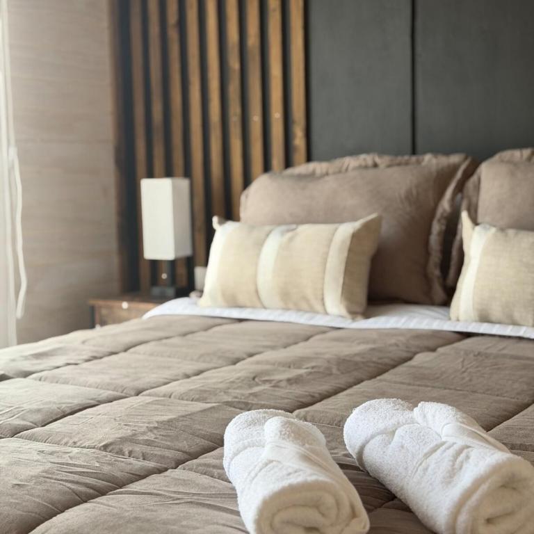Cabañas Paihuen - Two-Bedroom Apartment - 5