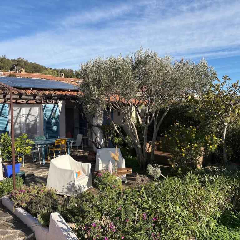 Charmante maison avec piscine et vue d'exception - Maison 2 Chambres - 59