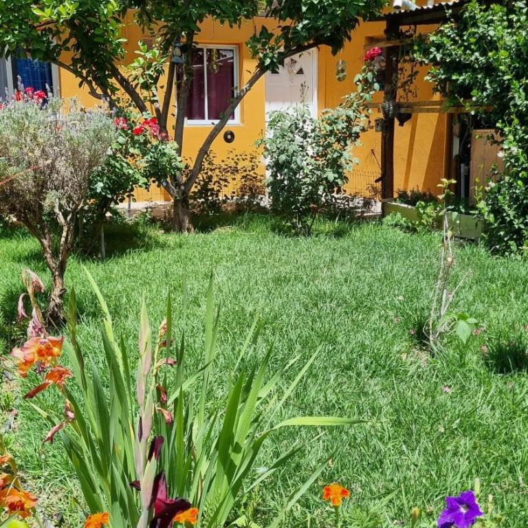 El Pilo - Apartamento de 1 dormitorio - 1