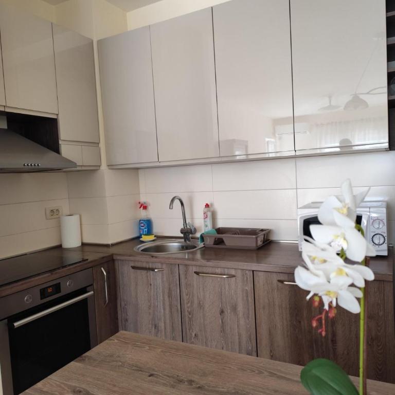 Apartman City kvart Podgorica 2 - One-Bedroom Apartment - 5