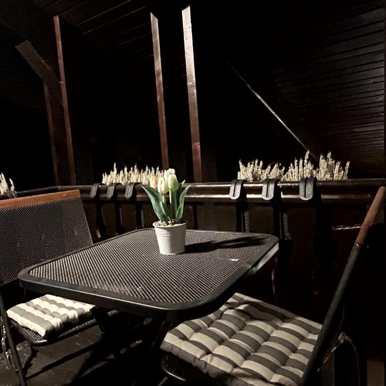 Wellness house Svjetlost - Three-Bedroom House - 14