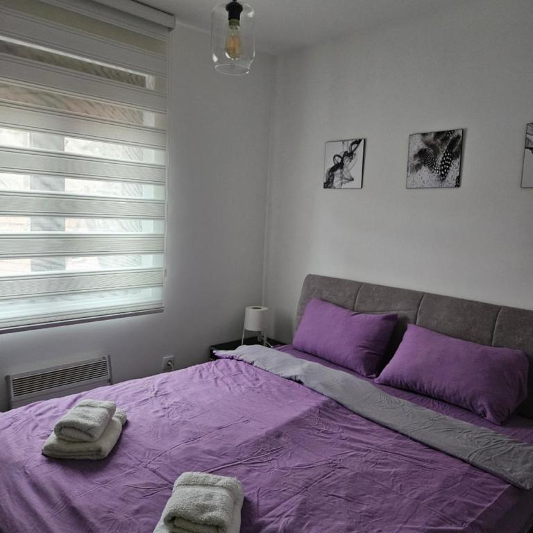 EOL - One-Bedroom Apartment - 5