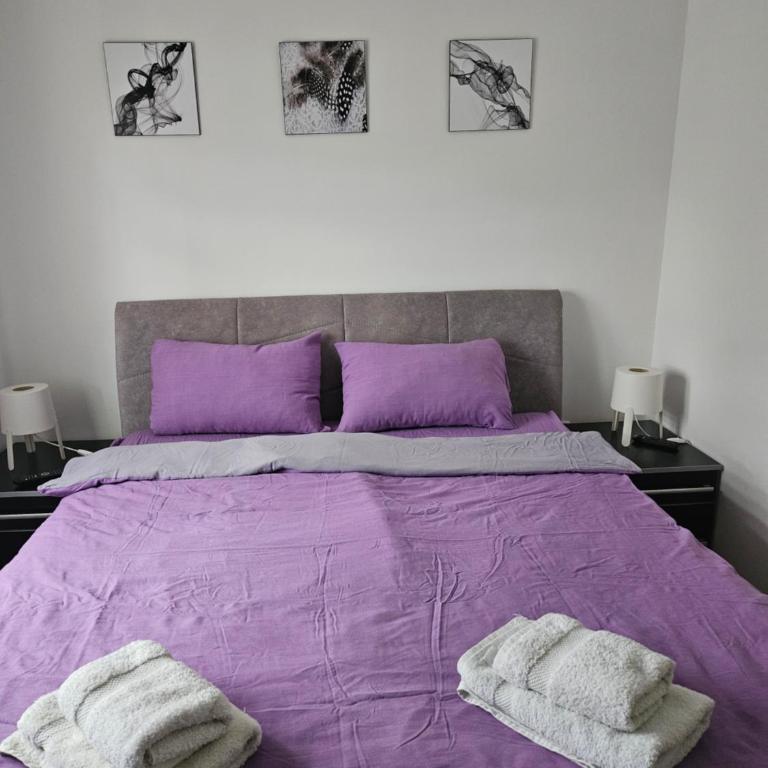EOL - One-Bedroom Apartment - 4