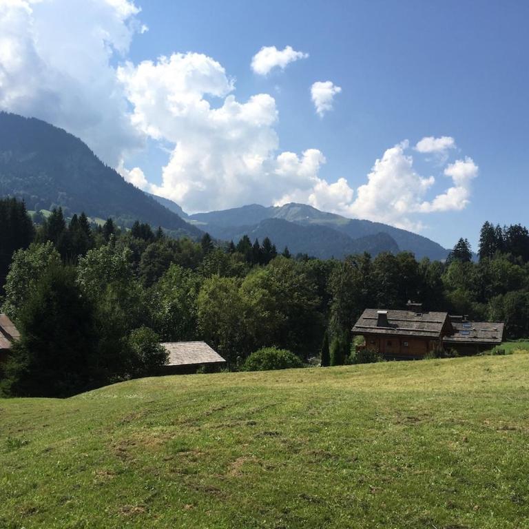 Chalet K2 - Apartment - 28