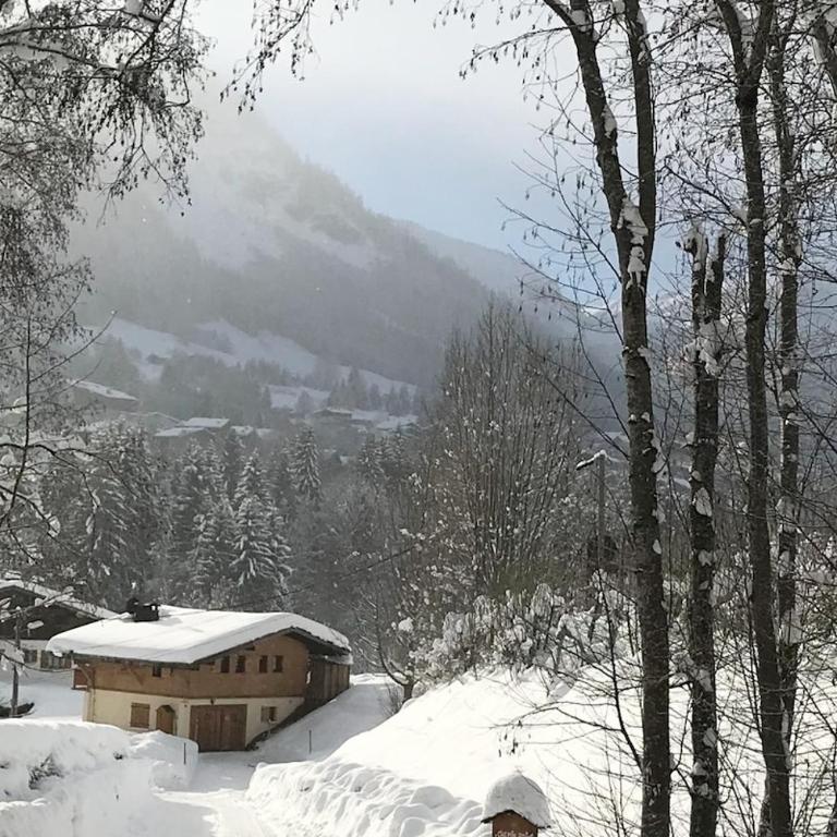 Chalet K2 - Apartment - 4