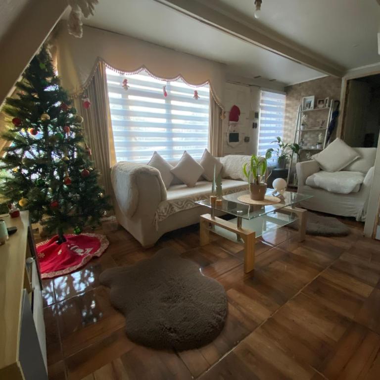 Centro de temuco - Apartment - 1