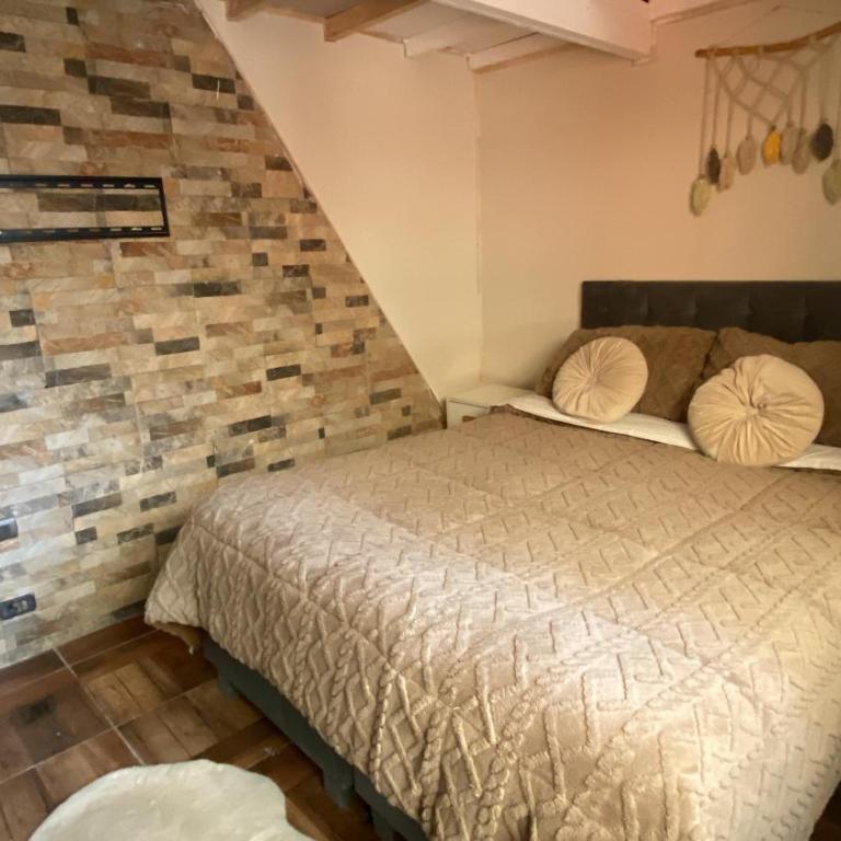 Centro de temuco - Apartment - 9