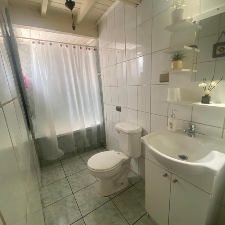 Centro de temuco - Apartment - 10