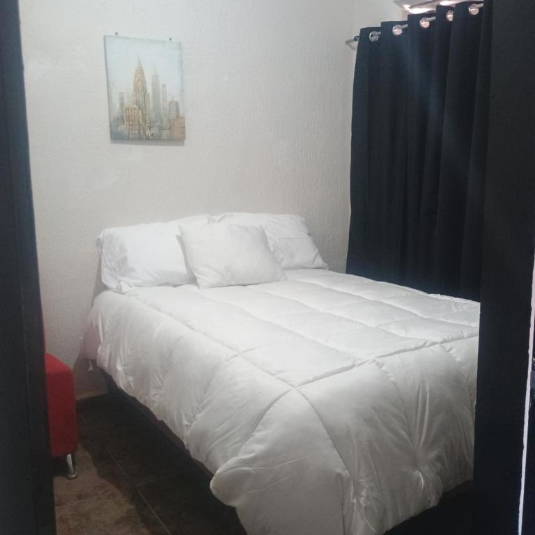 Casa jade 44 - Apartamento de 2 dormitorios - 2