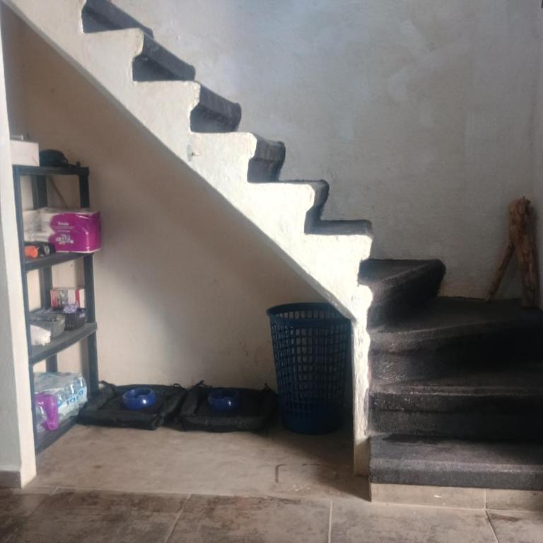 Casa jade 44 - Apartamento de 2 dormitorios - 11