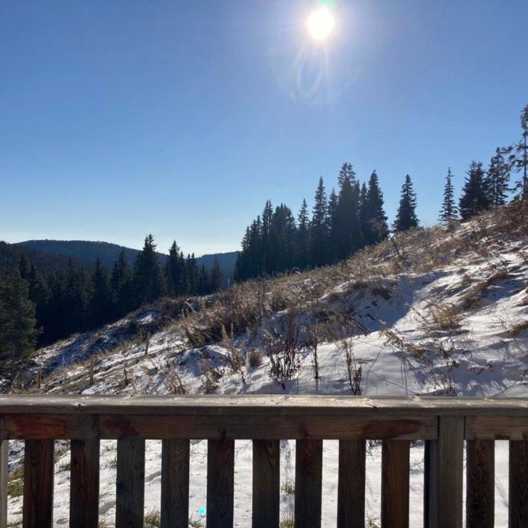 Hüttenzauber Lachtal - Vacation Home - 6